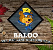 baloo.1